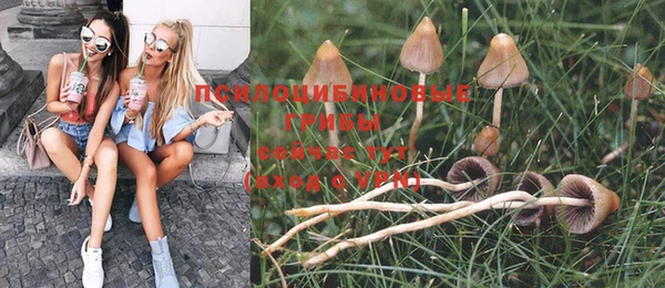 бошки Нязепетровск
