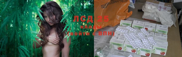 скорость Новокубанск