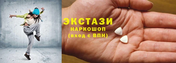 индика Няндома