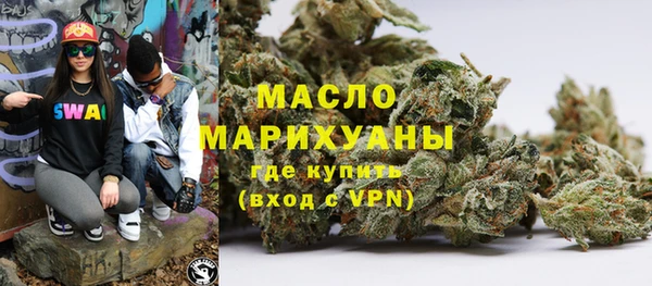 индика Няндома