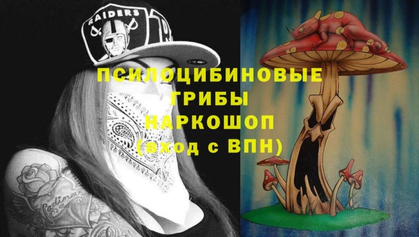 MESCALINE Новозыбков
