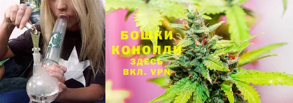 MESCALINE Новозыбков